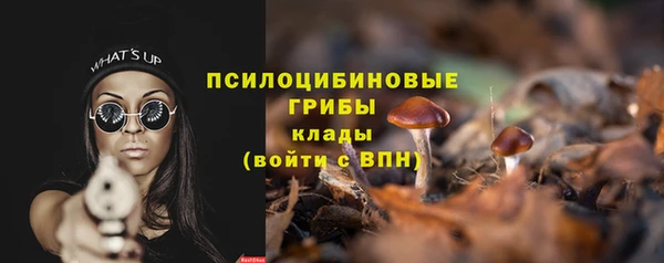 соль ск Балабаново